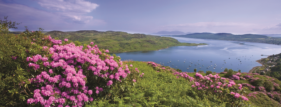 Discover The Isle Of Bute