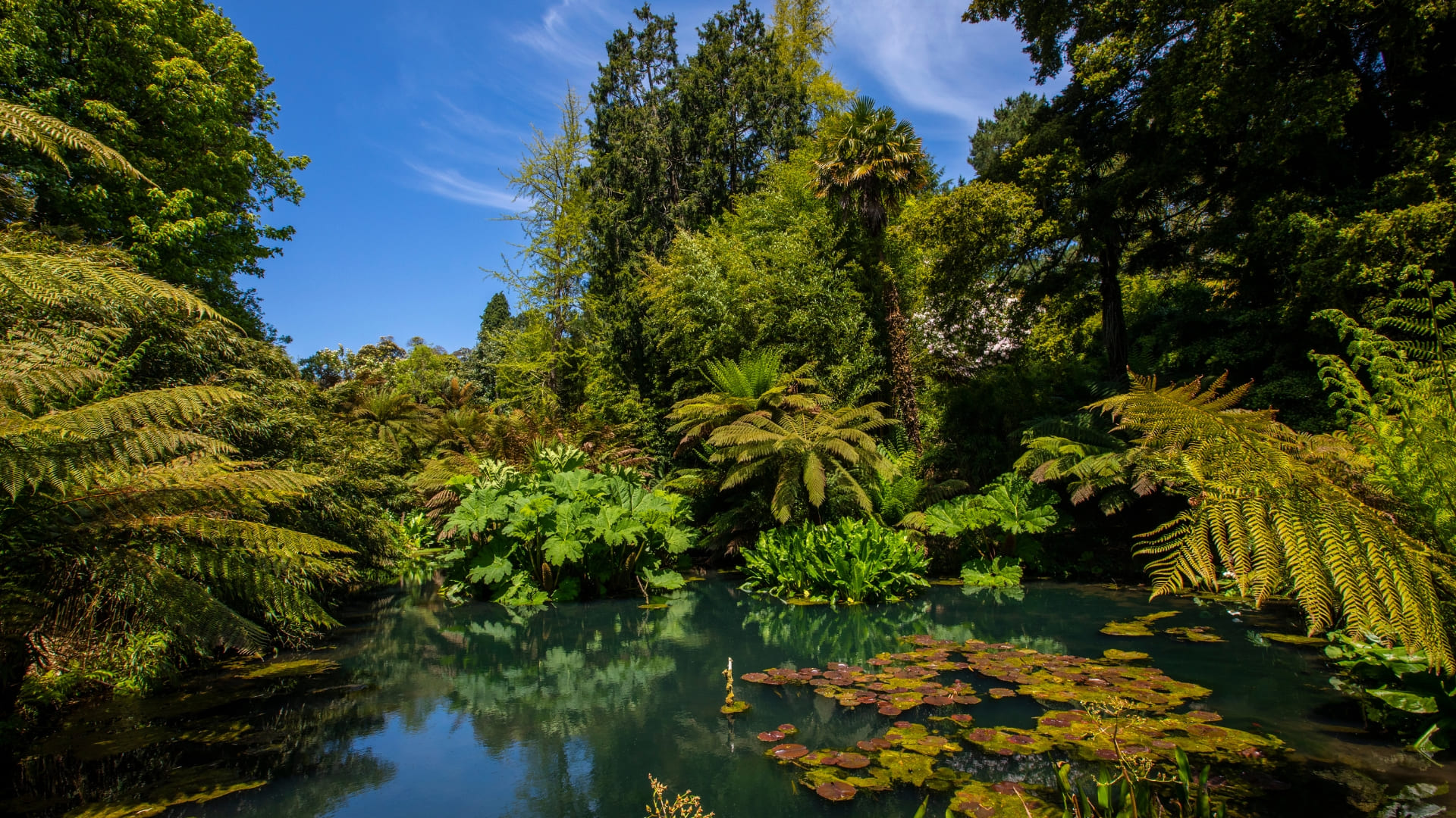 lost gardens of heligan